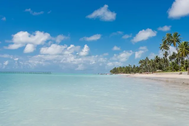 Praia Ponta do Mangue