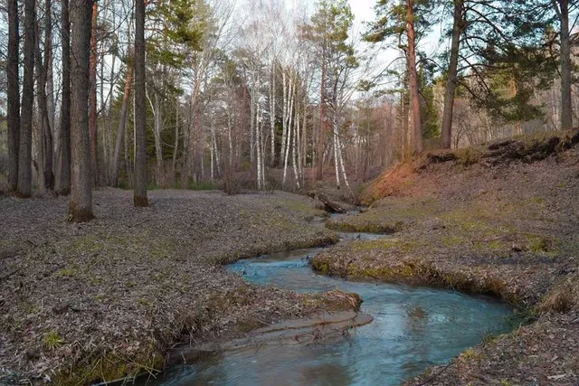 Central Siberian Botanical Garden