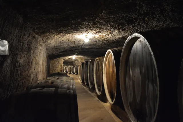 Serednie Wine Cellars