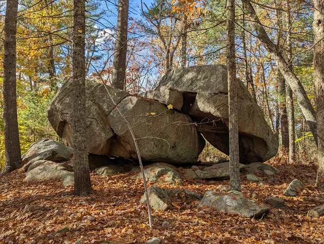 Whitney and Thayer Woods