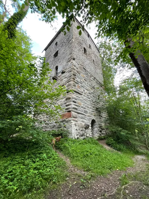 Burgruine Praßberg