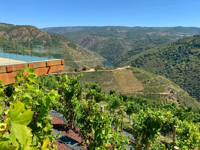 Bodegas Regina Viarum