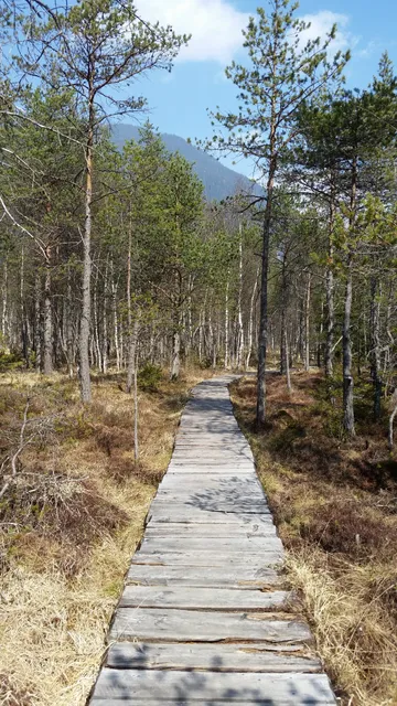 Biotop Rasner Möser