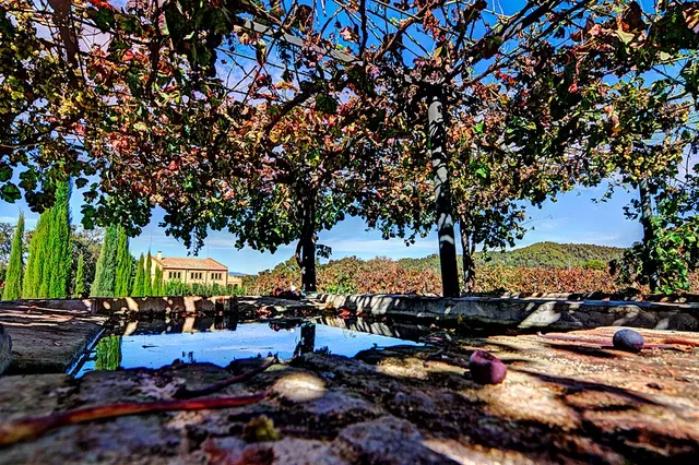 Santa Maria de Martorelles