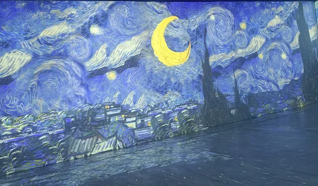 Van Gogh 360