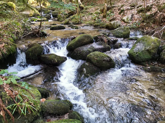 Quellenweg Bad Herrenalb