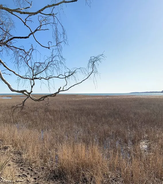 Nivå Bugt Strandenge