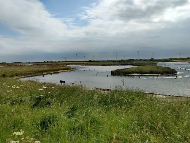 RSPB Tetney Marshes