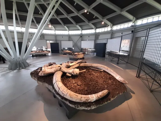 Museo Paleontologico "Luigi Boldrini" di Pietrafitta