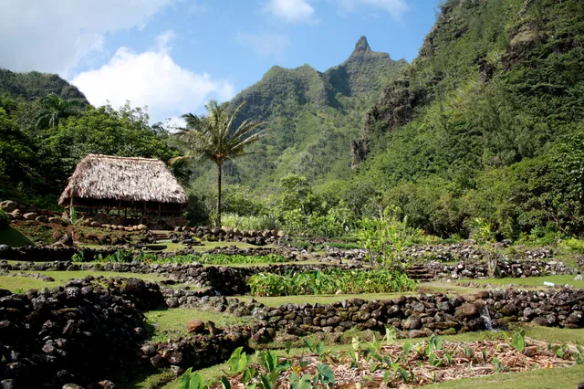 Limahuli Garden & Preserve, National Tropical Botanical Garden