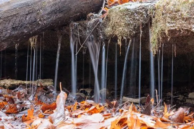 Hüttlenswaldschlucht