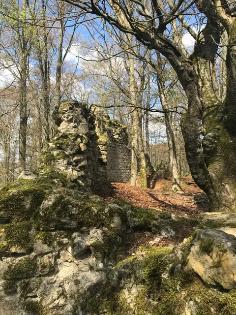 Seubersdorf in der Oberpfalz