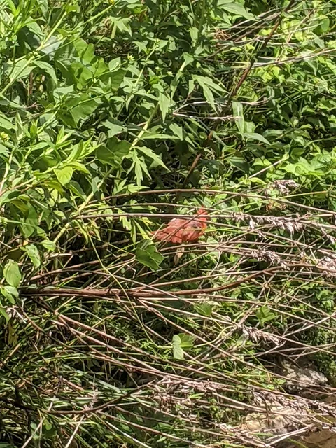photo-2