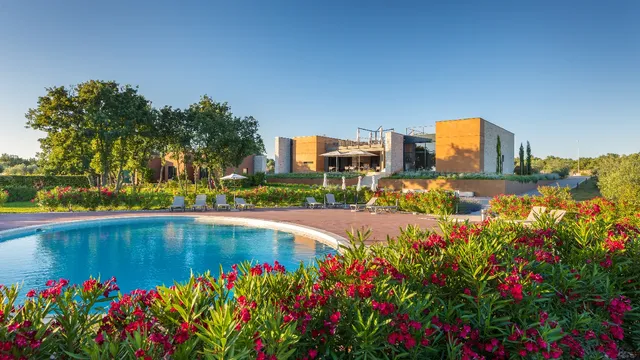 PAPAFIGO Camping and Glamping