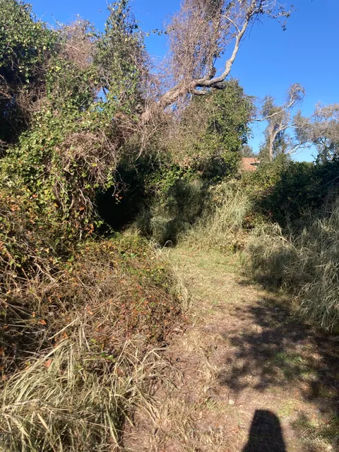 Connie Hagar Cottage Sanctuary