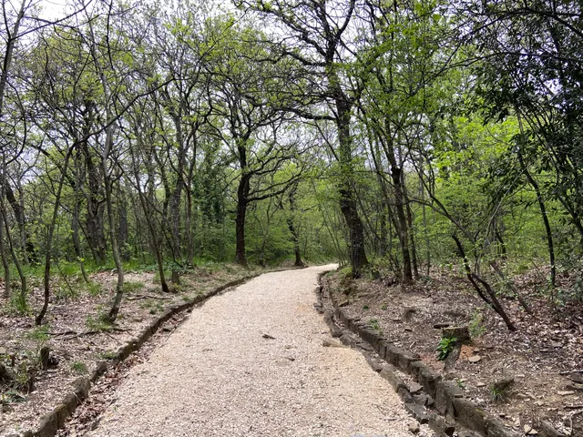 Parco Di Villa Giulia