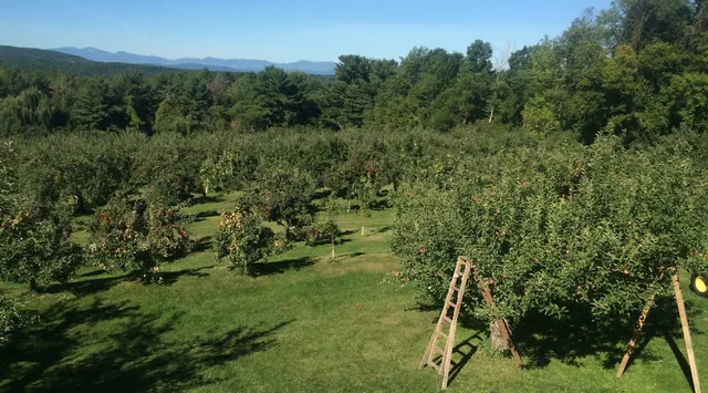 Yates Family Orchard