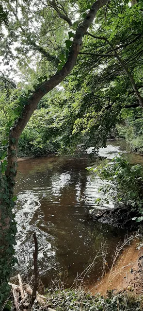 photo-3