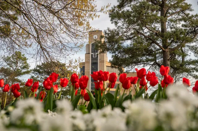 Arkansas State University