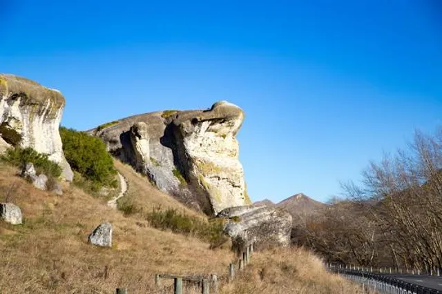 Frog Rock