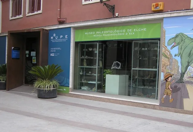 Museo Paleontológico de Elche
