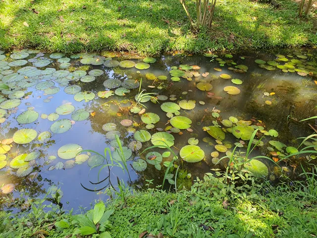 CATIE Botanical Garden