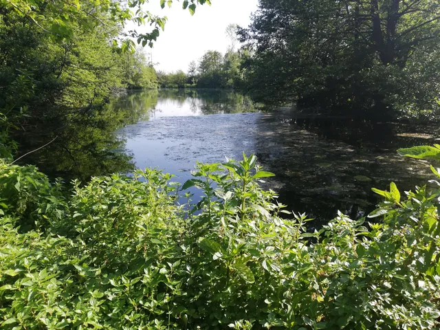 Parco Naturale Mola Della Corte - Settecannelle - Capodacqua