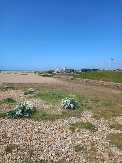 photo-2