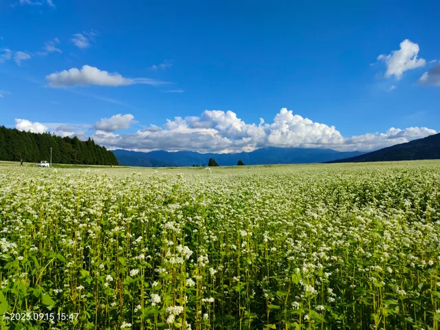 Hananoko Nature Park
