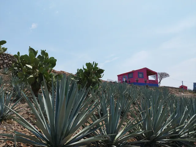 Complejo Paraíso Azul