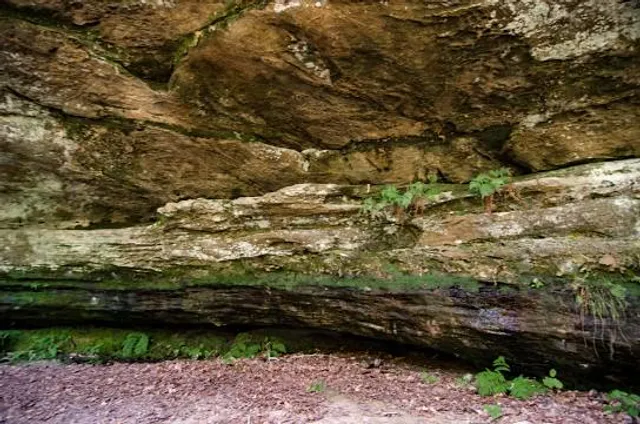 Pickle Springs Natural Area