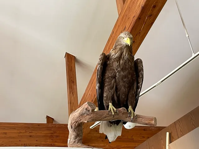 Lake Utonai Wildlife Conservation Center