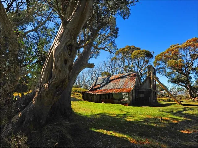 Wallace Hut Carpark