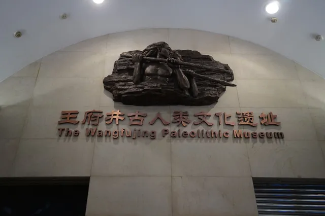 The Wangfujing Paleolithic Museum