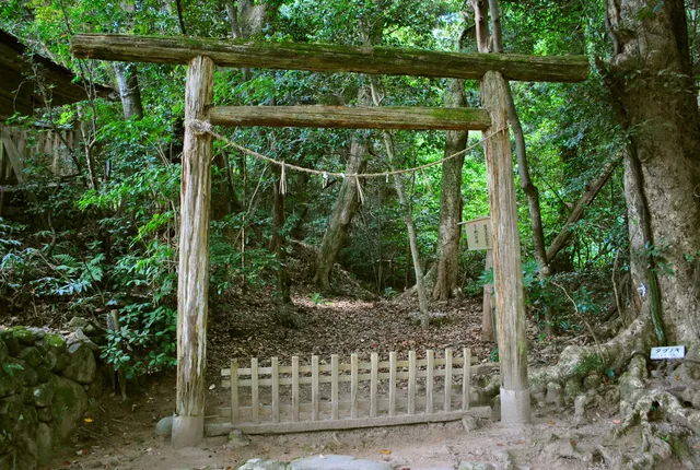 Irazu-no-mori (Forbidden Forest)