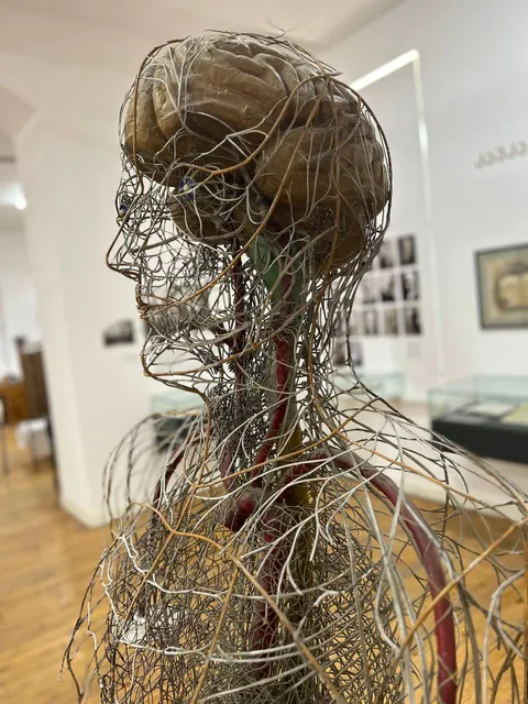 The Museum for History of Georgian Medicine