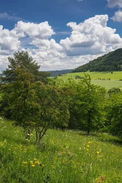 Naturschutzgebiet Leutratal und Cospoth