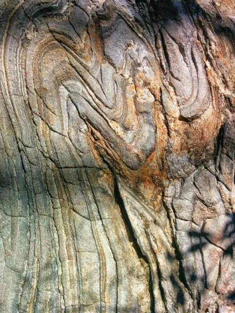 USDA Forest Service Supervisor's Office