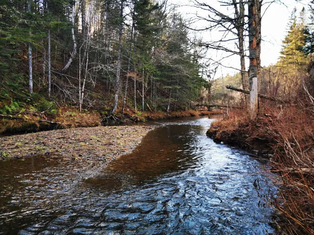 Haut-du-Ruisseau Nature Park