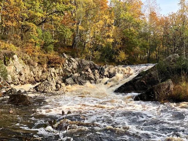 Sumpafallen Nature reserve