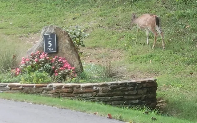 Keowee Key Event Center