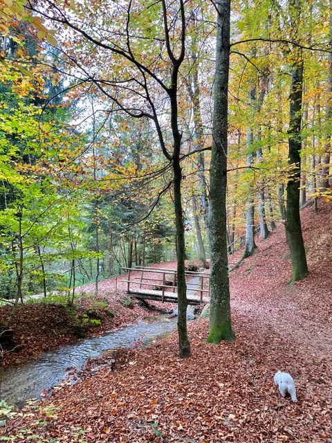 Hinterbrühl Naturpark Pöllauer Tal