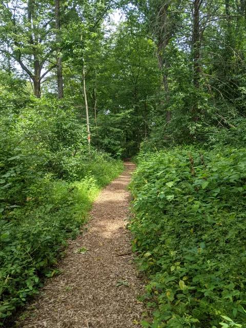 Wildlands Conservancy