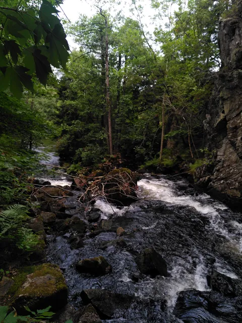 Risbohult Nature Reserve