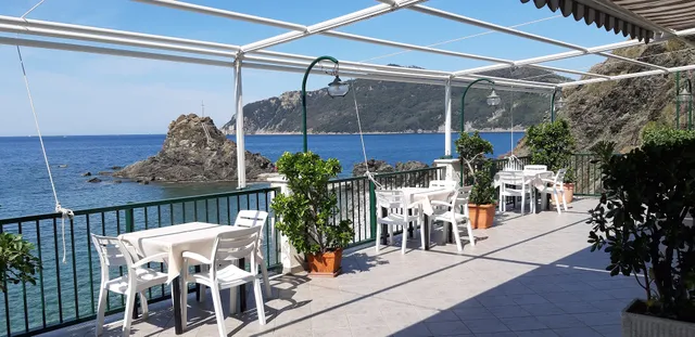 Asseu di Merello Sara