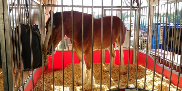 Washington County Fair