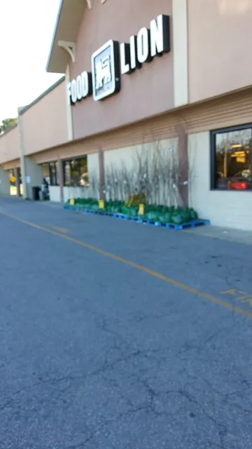 Food Lion