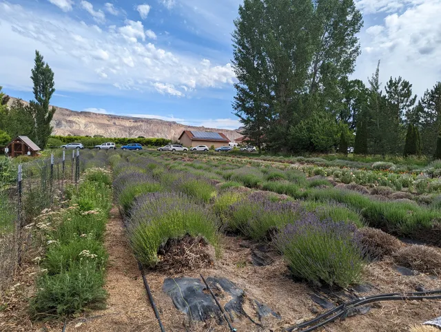 Sage Creations Farm, LLC