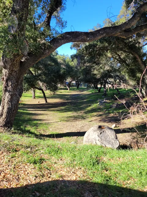 Cachuma Lake Disc Golf Course