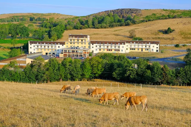 Fleurs d'Aubrac de Laguiole